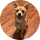 Ari Page Avatar