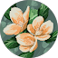 Zahra Avatar